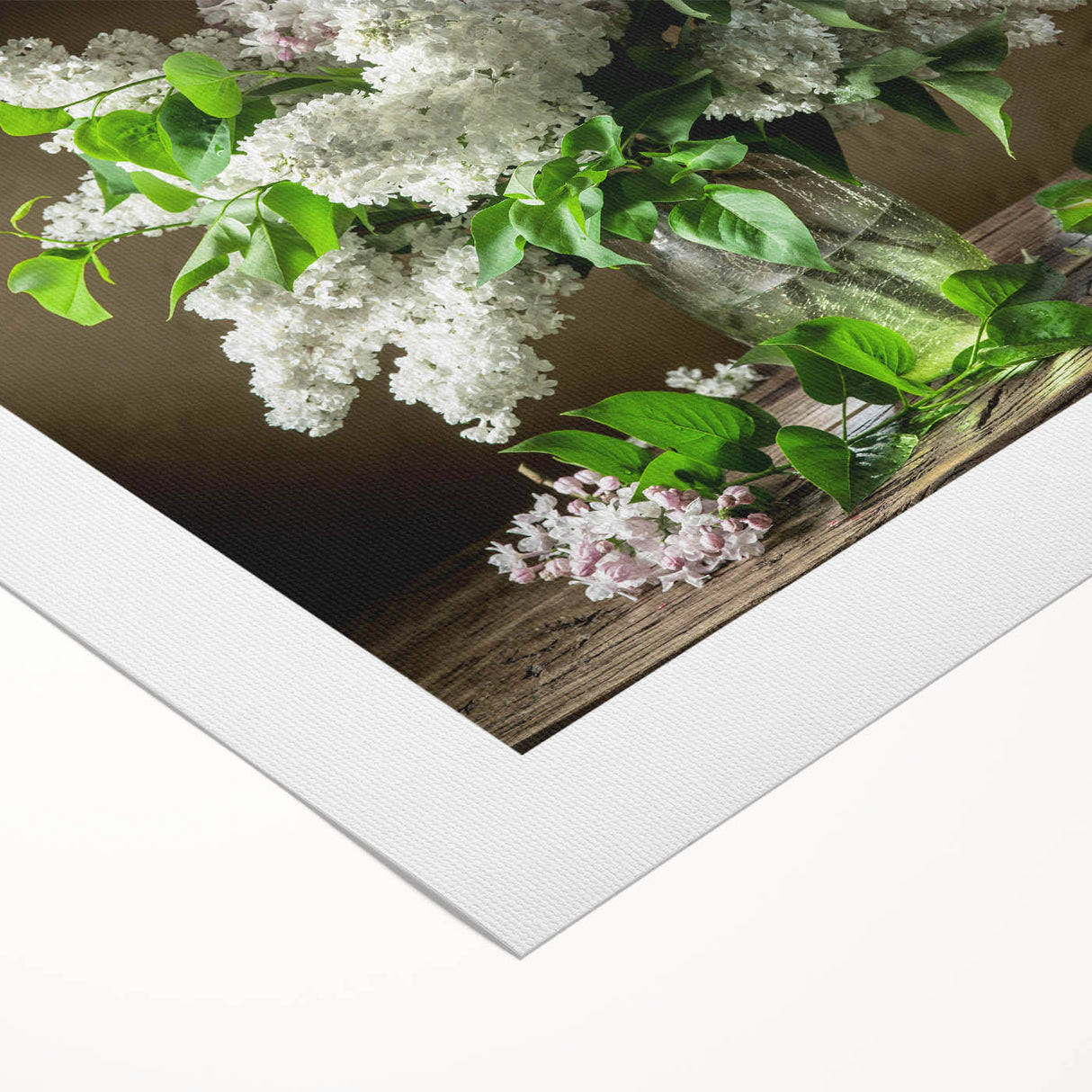 Rolled canvas art print showcasing a vibrant lilac floral design, perfect for home decor. Ideal for adding a touch of nature-inspired elegance to any room.