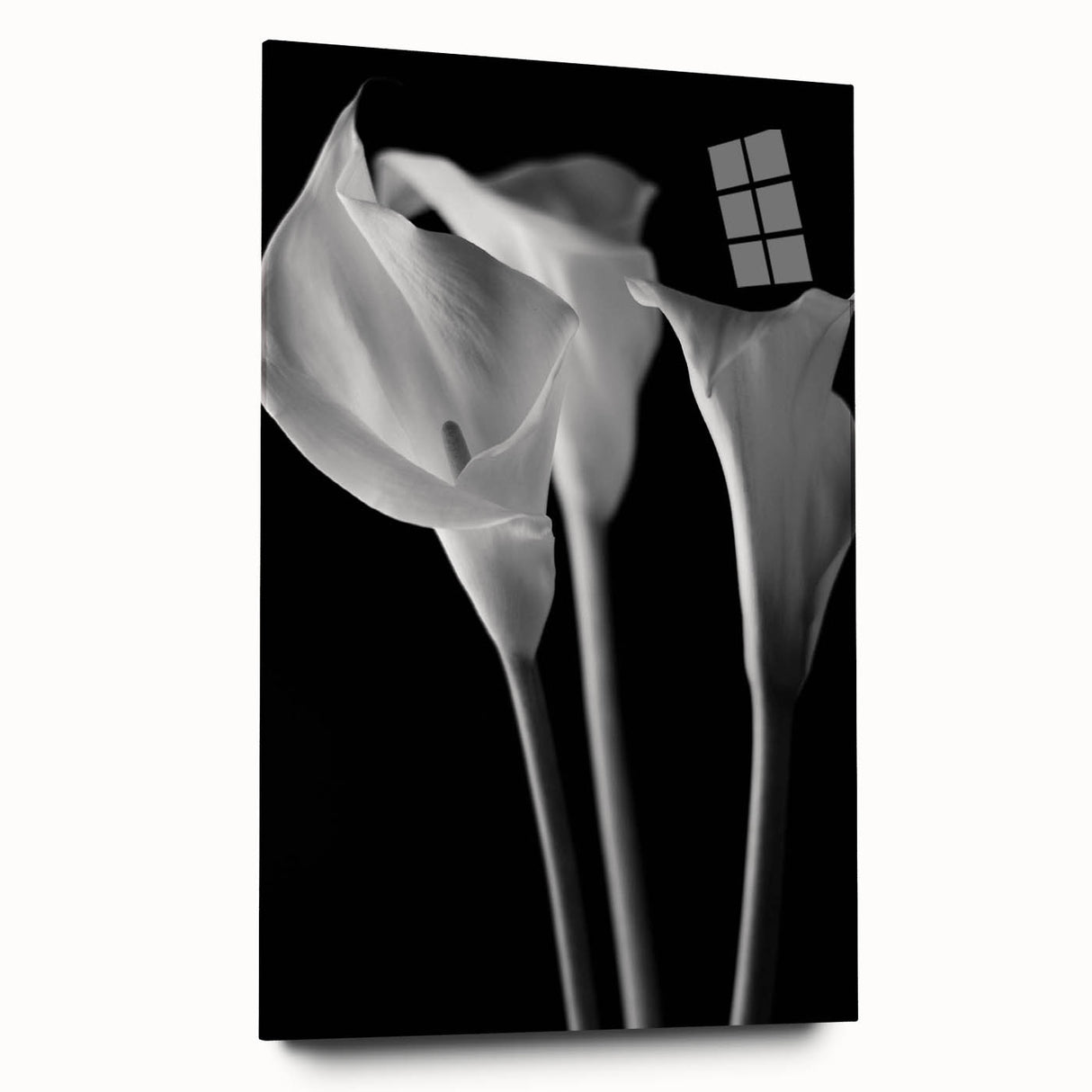 Side view of a botanical lily wall art piece displayed in acrylic glass, showcasing vibrant colors and intricate floral details, perfect for home decor.