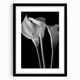 Framed botanical wall art featuring a vibrant lily design in a black frame with a mat, ideal for home decor. Perfect for floral enthusiasts and art lovers.