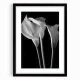 Framed botanical wall art featuring a vibrant lily design in a black frame with a mat, ideal for home decor. Perfect for floral enthusiasts and art lovers.