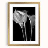 Botanical wall art showcasing a vibrant gold-framed lily design, elegantly matted for a sophisticated look, perfect for enhancing home decor with a touch of nature.
