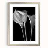 Elegant silver-framed wall art featuring a botanical lily design, showcasing intricate floral details and a sophisticated mat, perfect for home decor enhancement.