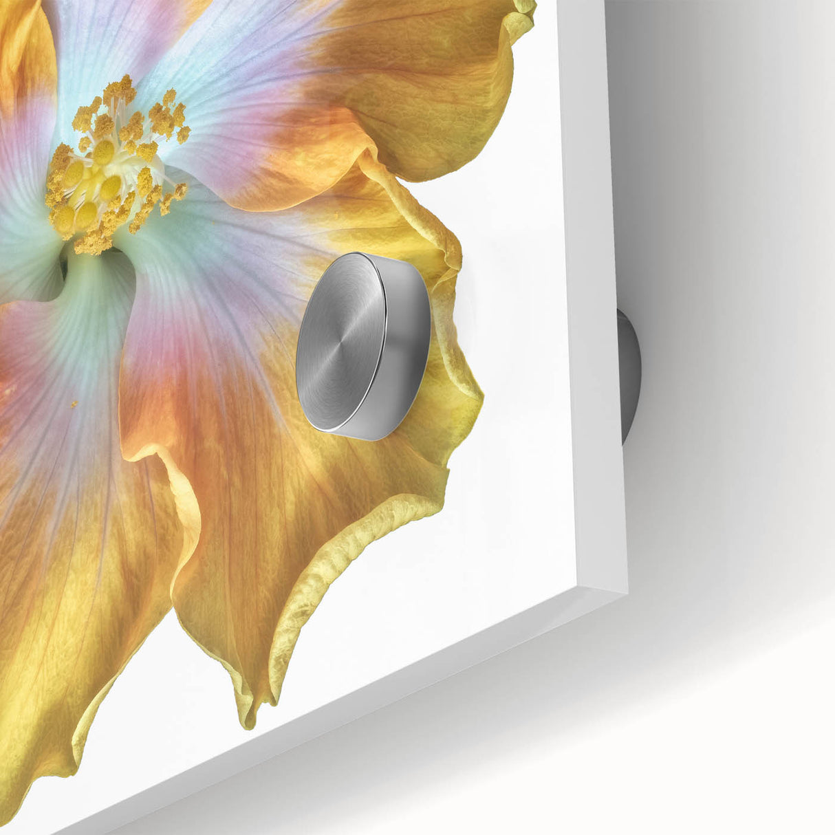 Close-up of a vibrant botanical wall art print featuring delicate lilies on an acrylic glass surface, showcasing intricate details and vivid colors, perfect for home decor.