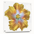 Botanical wall art showcases a stunning lily design, printed on acrylic glass. The side view highlights its vibrant colors and sleek finish, perfect for home decor.