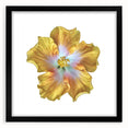 Black-framed wall art featuring a botanical lily design, showcasing delicate flower details and a matte finish, perfect for enhancing home decor aesthetics.