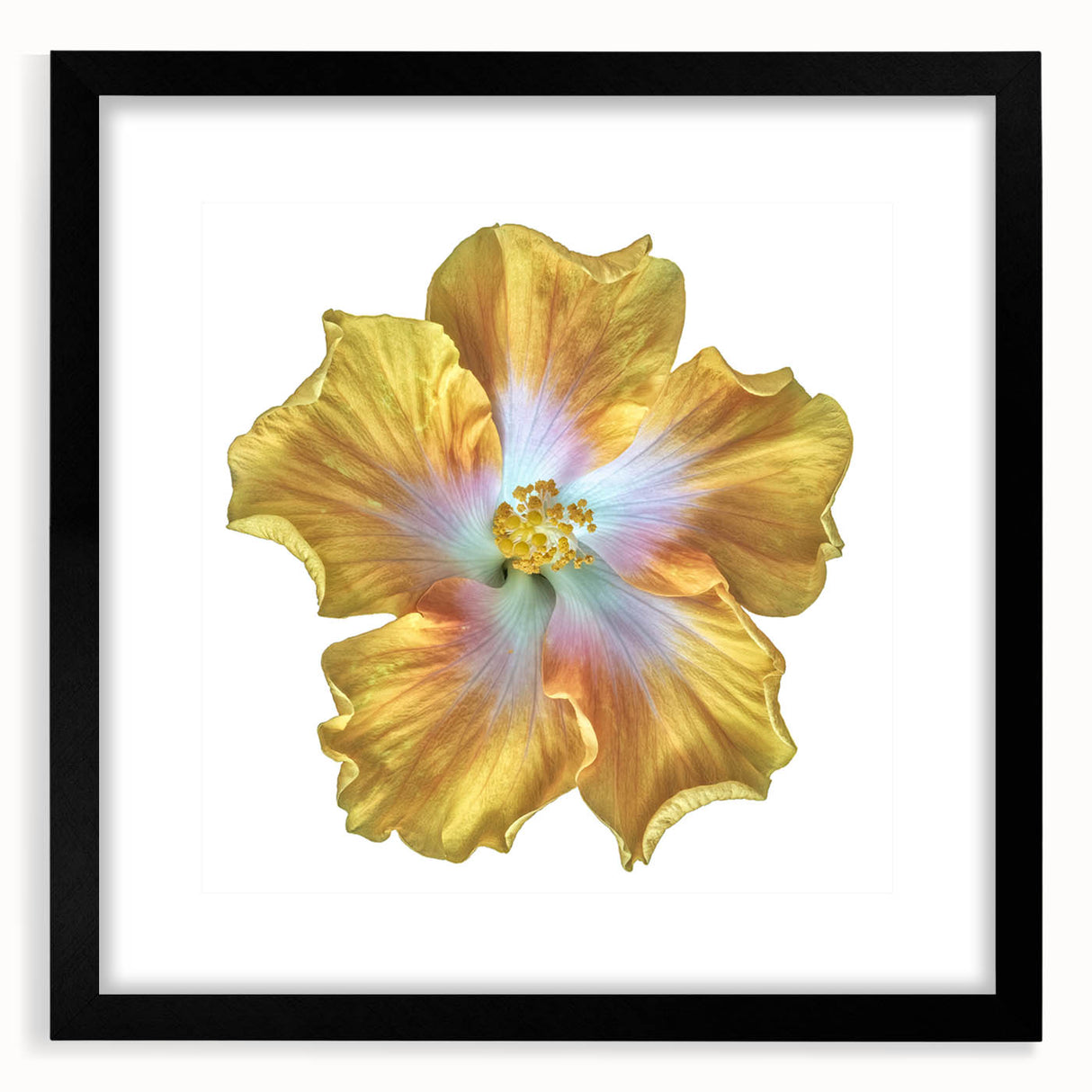 Black-framed wall art featuring a botanical lily design, showcasing delicate flower details and a matte finish, perfect for enhancing home decor aesthetics.