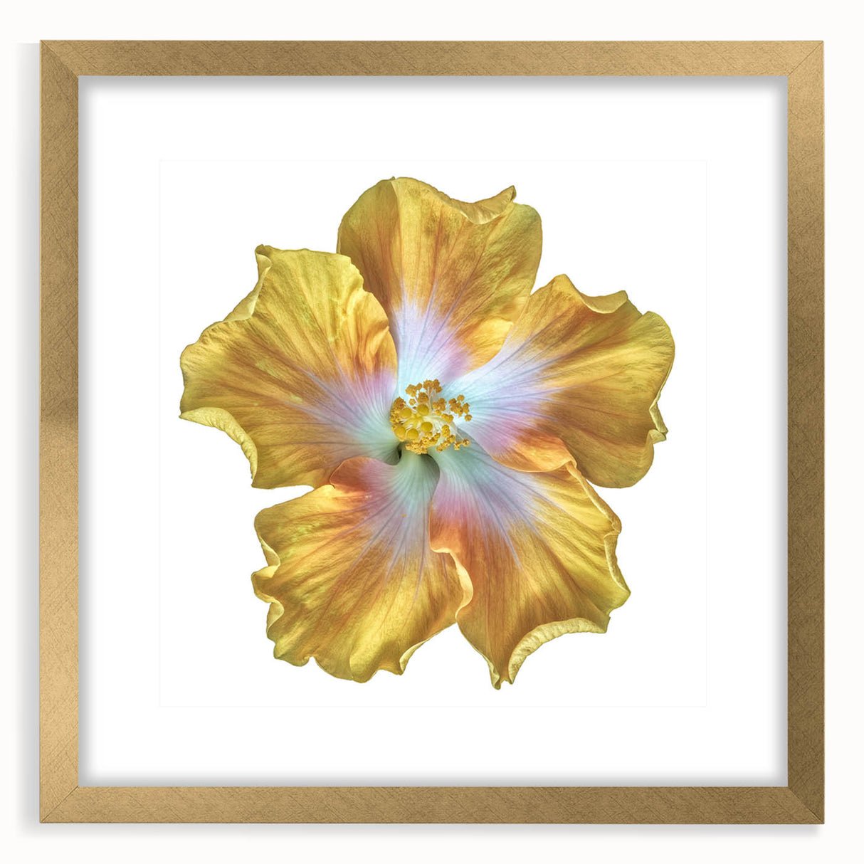 Elegant botanical lily design wall art framed in gold with a mat, showcasing vibrant colors and intricate details, perfect for home decor enhancement.