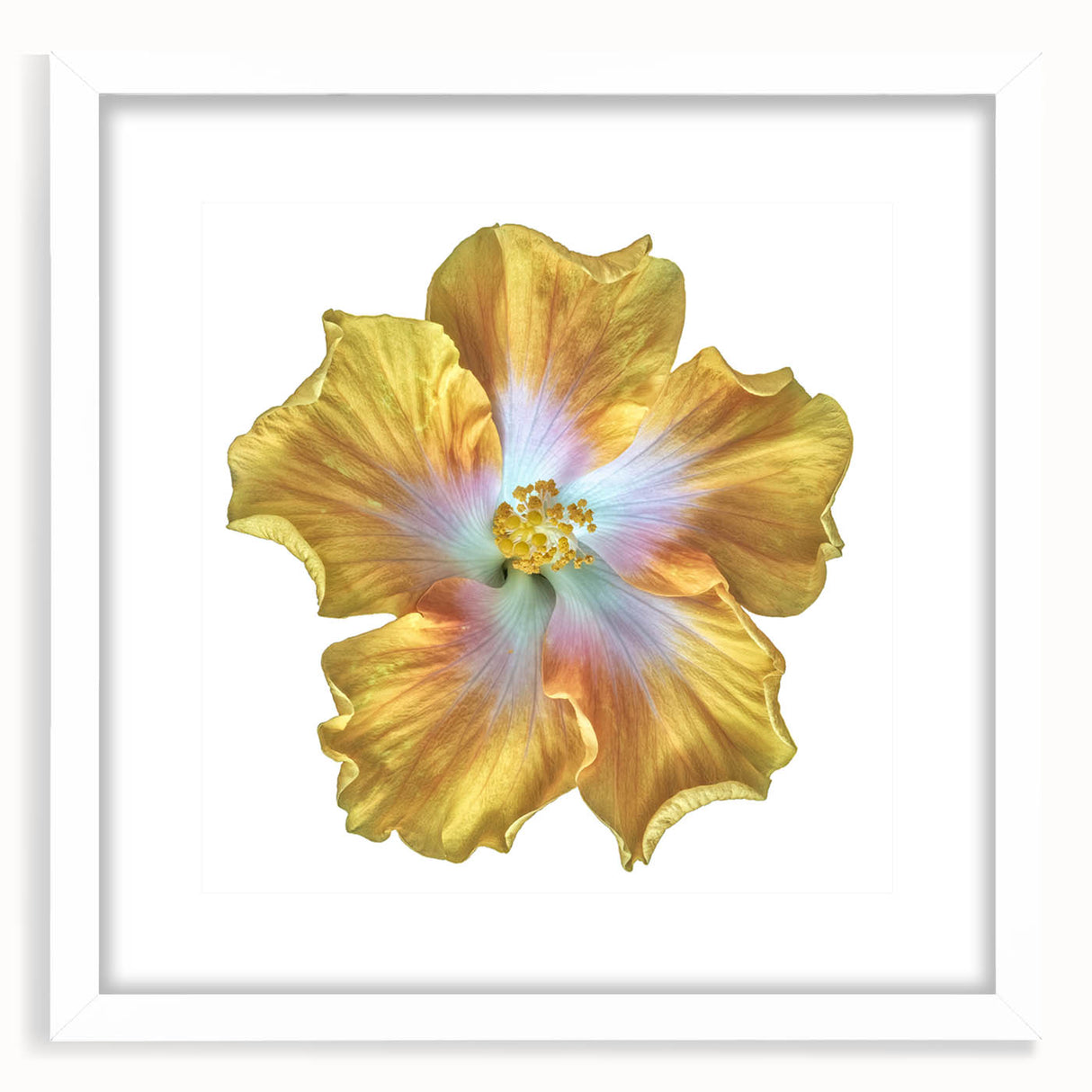 Botanical wall art featuring a delicate lily design in a white frame with a mat, showcasing vibrant colors and intricate details, ideal for home decor.