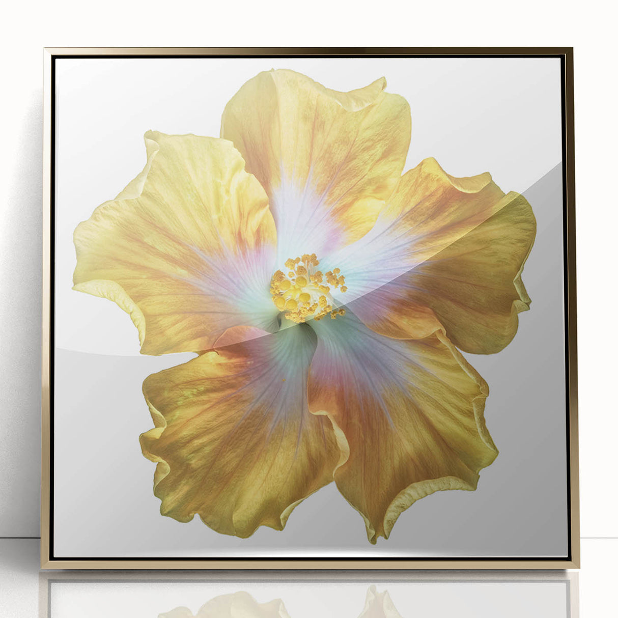 Framed botanical wall art featuring a vibrant lily design with a gold-acrylic front, perfect for adding elegance to home decor. Ideal for floral art enthusiasts.