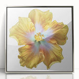Framed wall art featuring a botanical lily design in soft pastel colors, elegantly displayed in a sleek silver frame, perfect for modern home decor.