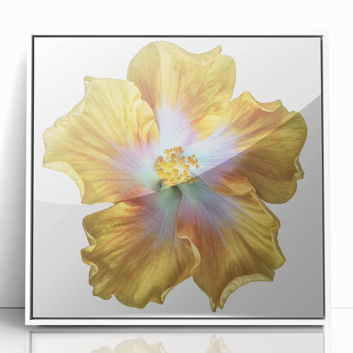 Framed botanical wall art featuring a vibrant lily design on a white background, perfect for adding elegance to home decor. Ideal for nature lovers and modern interiors.