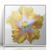 Framed botanical wall art featuring a vibrant lily design on a white background, perfect for adding elegance to home decor. Ideal for nature lovers and modern interiors.