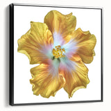 Framed botanical print of a lily design in a stylish black frame, showcasing vibrant colors and intricate details, perfect for enhancing home decor. Ideal for floral art enthusiasts.