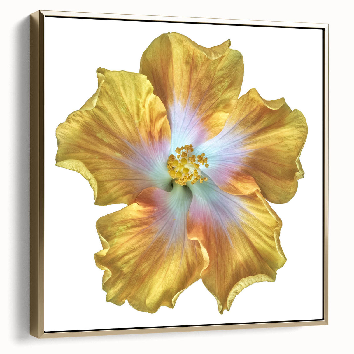Framed wall art featuring a botanical lily design in silver and gold hues, showcasing intricate floral details perfect for modern home decor.