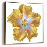 Framed wall art featuring a botanical lily design in silver and gold hues, showcasing intricate floral details perfect for modern home decor.