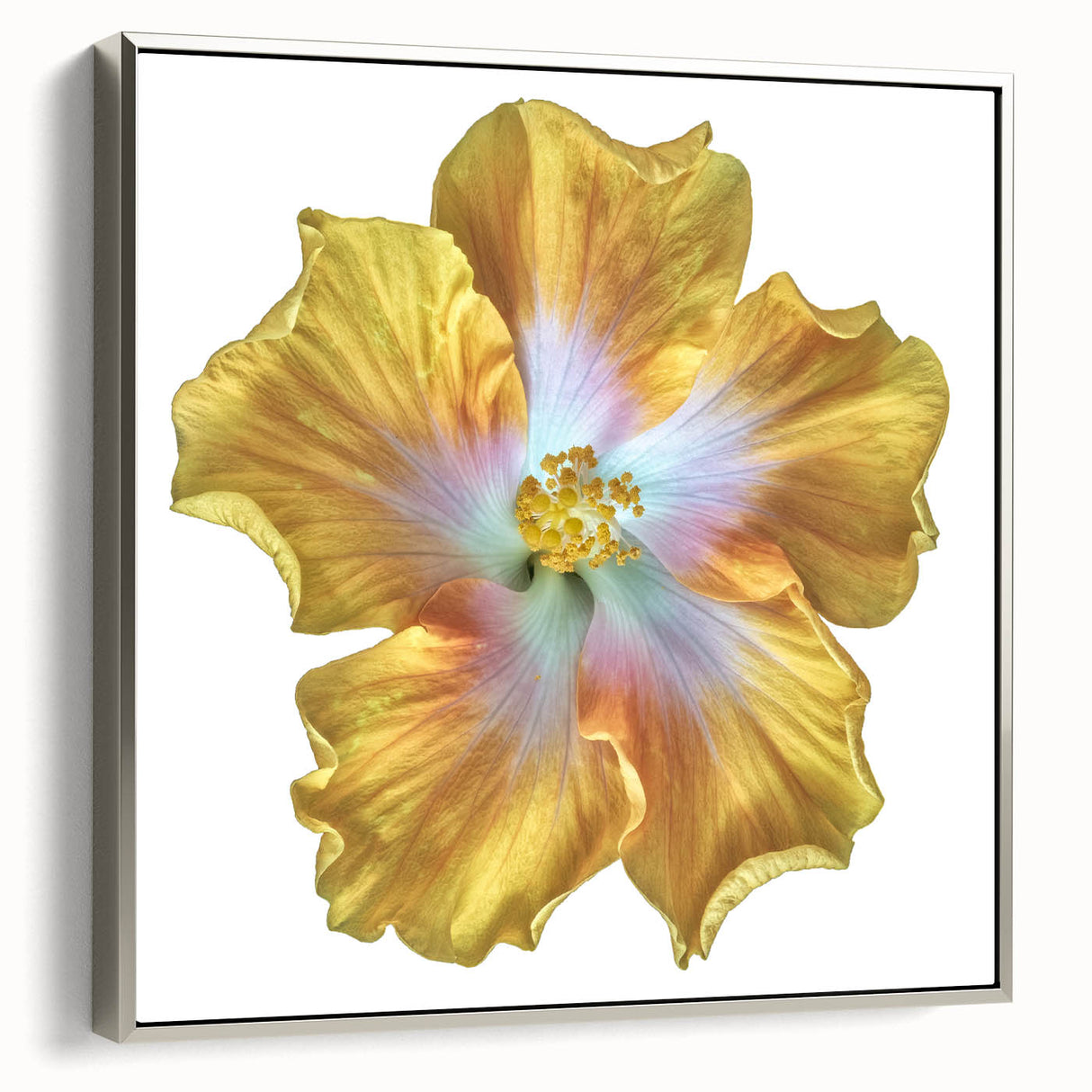 Framed wall art featuring a botanical lily design with silver accents, displayed in a stylish setting, showcasing vibrant colors and intricate details. Ideal for home decor enthusiasts seeking nature-inspired elegance.