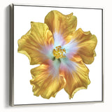 Framed wall art featuring a botanical lily design with silver accents, displayed in a stylish setting, showcasing vibrant colors and intricate details. Ideal for home decor enthusiasts seeking nature-inspired elegance.