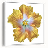 Framed canvas wall art featuring a botanical lily design, showcasing vibrant colors on a white background, ideal for home decor and floral enthusiasts.