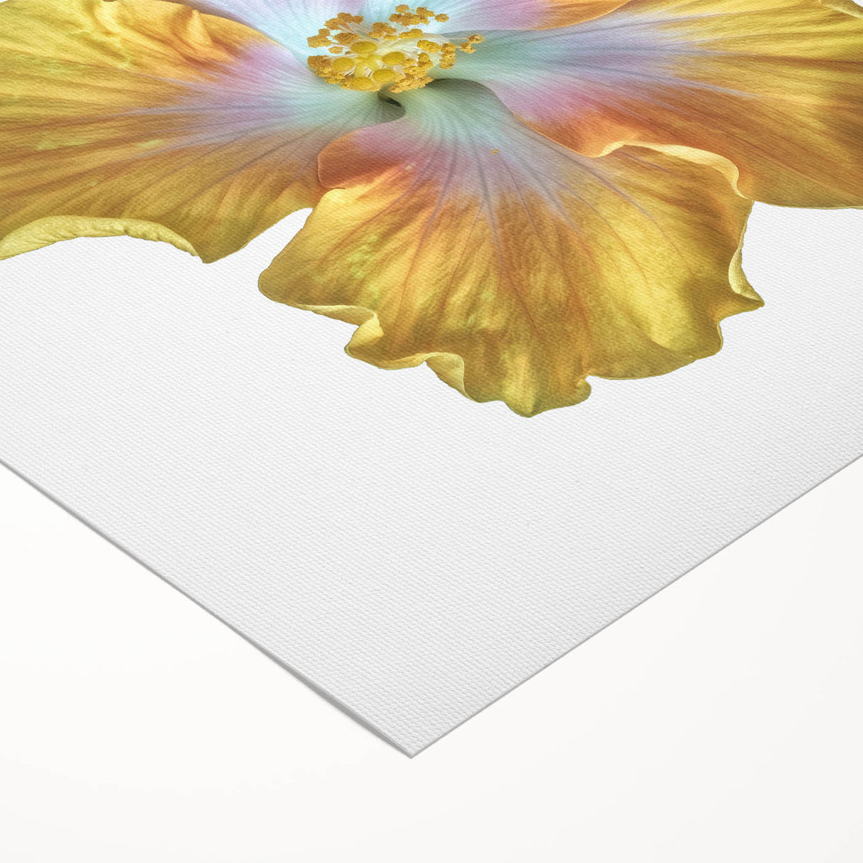 Botanical wall art featuring a vibrant lily design on rolled canvas, showcasing rich colors and intricate floral details, perfect for home decor enhancement.