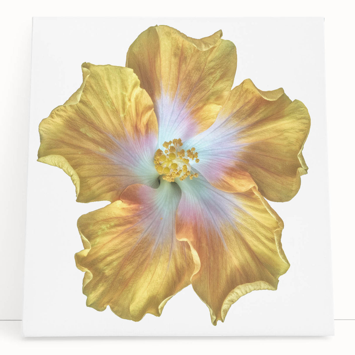 Stretched canvas wall art depicting a vibrant botanical lily design, showcasing rich green leaves and delicate white flowers, perfect for home decor.