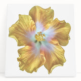 Stretched canvas wall art depicting a vibrant botanical lily design, showcasing rich green leaves and delicate white flowers, perfect for home decor.