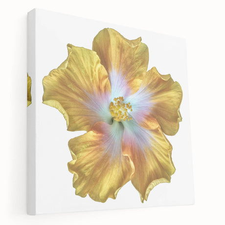 Stretched canvas wall art showcasing a botanical lily design, featuring vibrant colors and intricate floral patterns, ideal for home decor enhancement.