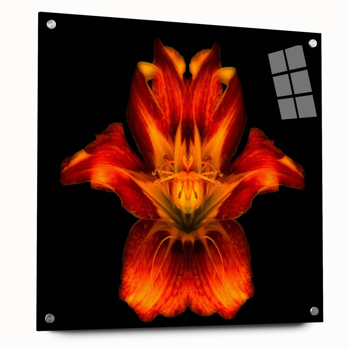 Acrylic glass wall art showcasing a vibrant botanical lily design, elegantly displayed from a side view with decorative pins, perfect for floral-themed decor.