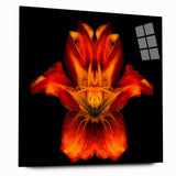 Elegant botanical wall art featuring a detailed design of a lily, displayed in a sleek acrylic frame. The artwork showcases vibrant colors and intricate details, perfect for enhancing home decor. Ideal for nature lovers and art enthusiasts.