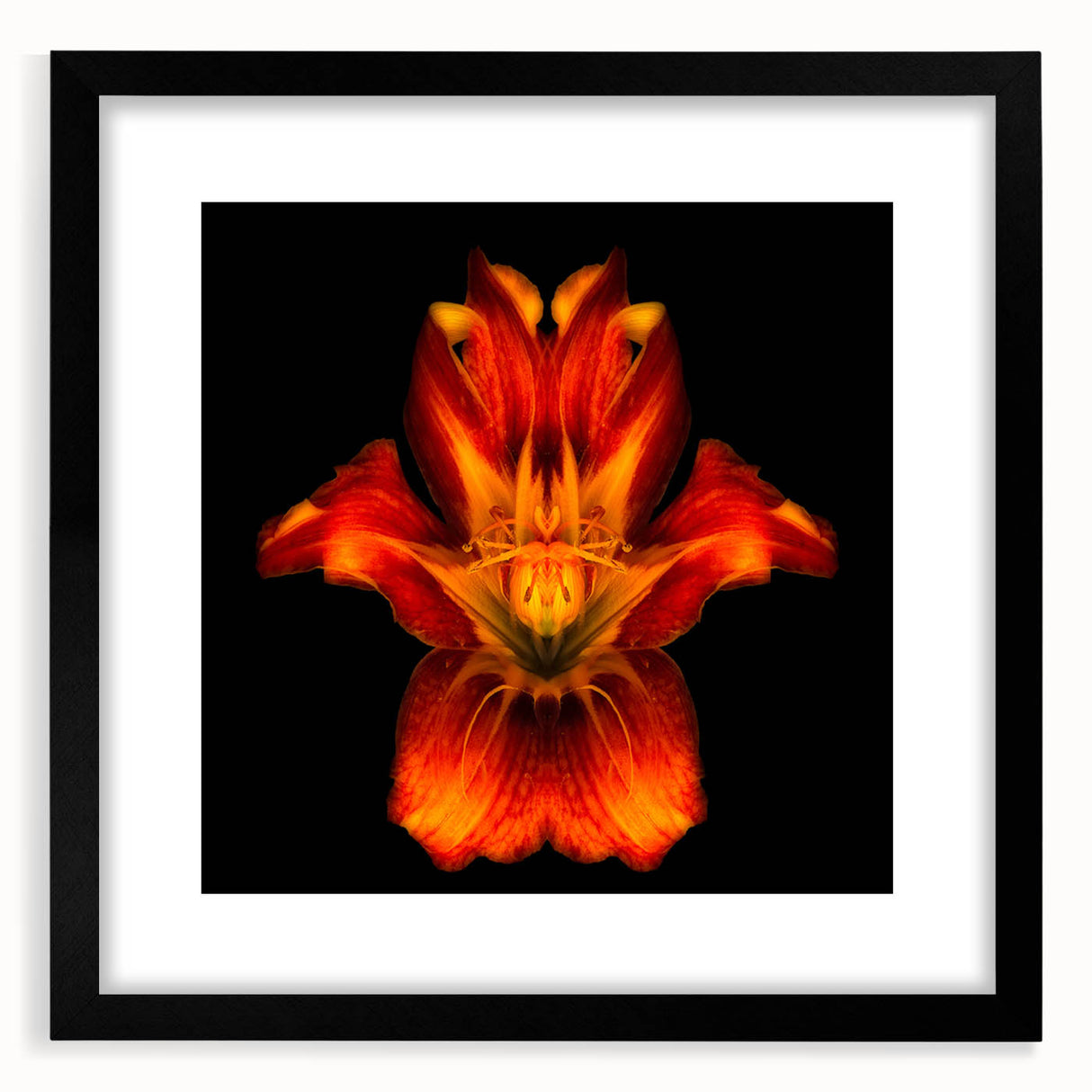 Botanical wall art featuring a striking lily design in a black frame with a mat, ideal for enhancing modern home decor. Perfect for flower lovers and art collectors.