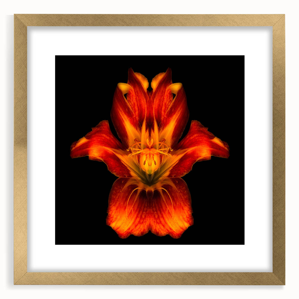 Elegant botanical wall art featuring a gold-framed lily design, showcasing vibrant colors and intricate details, perfect for home decor enhancement.