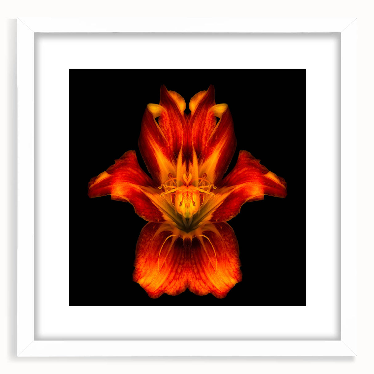 Elegant botanical wall art featuring a white-framed lily design, showcasing delicate flower details against a soft background, ideal for home decor and nature lovers.