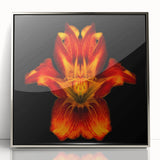 Framed wall art featuring a botanical lily design, showcasing vibrant colors and intricate details, presented in a sleek silver frame for modern home decor.