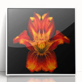 Framed botanical wall art featuring a delicate white lily design with a sleek acrylic finish, displayed against a clean white background, ideal for home decor.