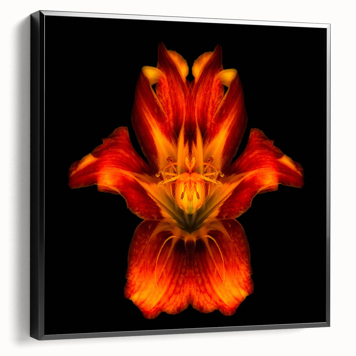 Framed canvas wall art featuring a botanical lily design in vibrant colors, showcasing intricate floral details and a sleek black frame, perfect for modern decor.