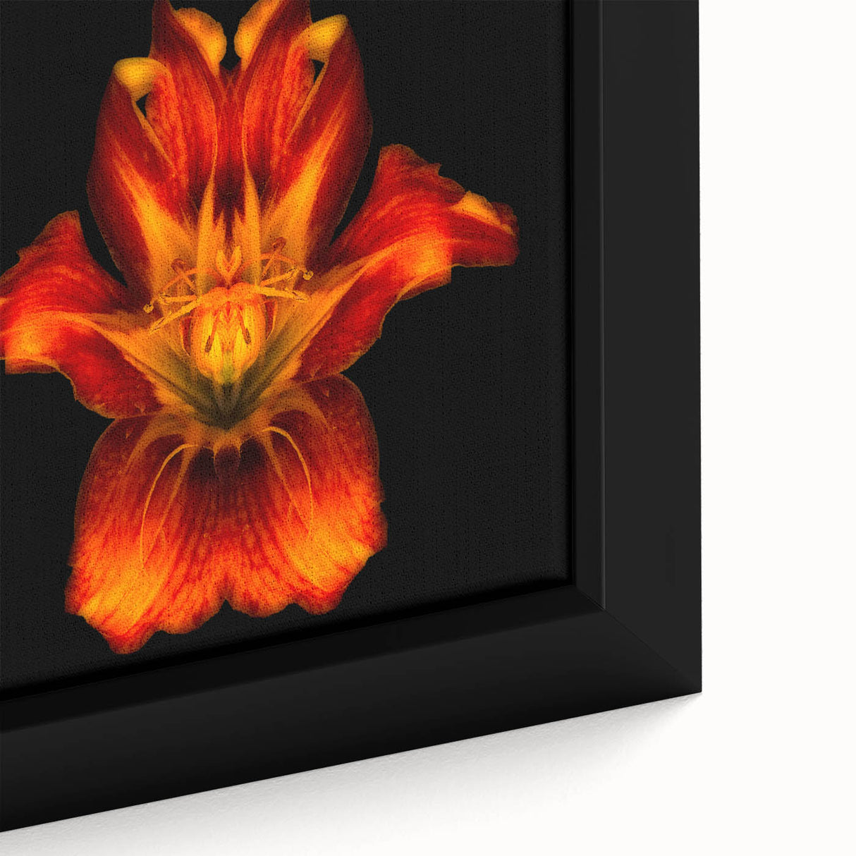 Close-up view of a framed canvas featuring a botanical lily design, showcasing vibrant colors and intricate details, perfect for floral-themed home decor.