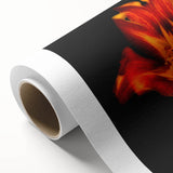 Botanical wall art featuring a vibrant lily design on rolled canvas, showcasing rich colors and intricate details, ideal for home decor and floral enthusiasts.