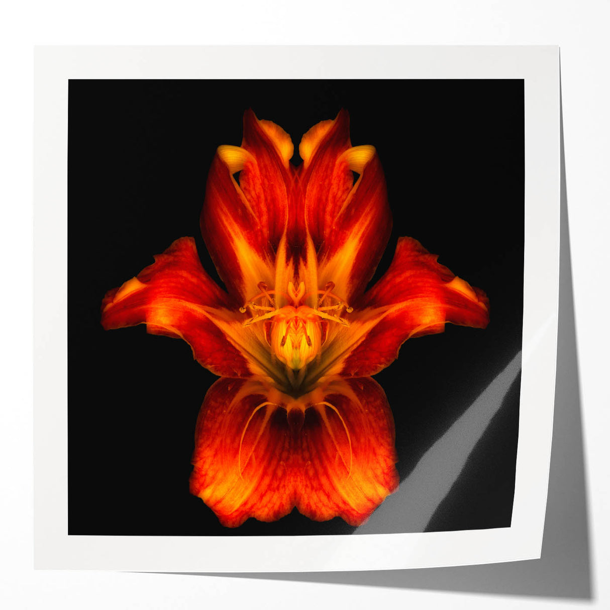 Botanical wall art print showcasing a vibrant lily design in shades of pink and green, rolled for easy shipping and display, ideal for home decor enthusiasts.