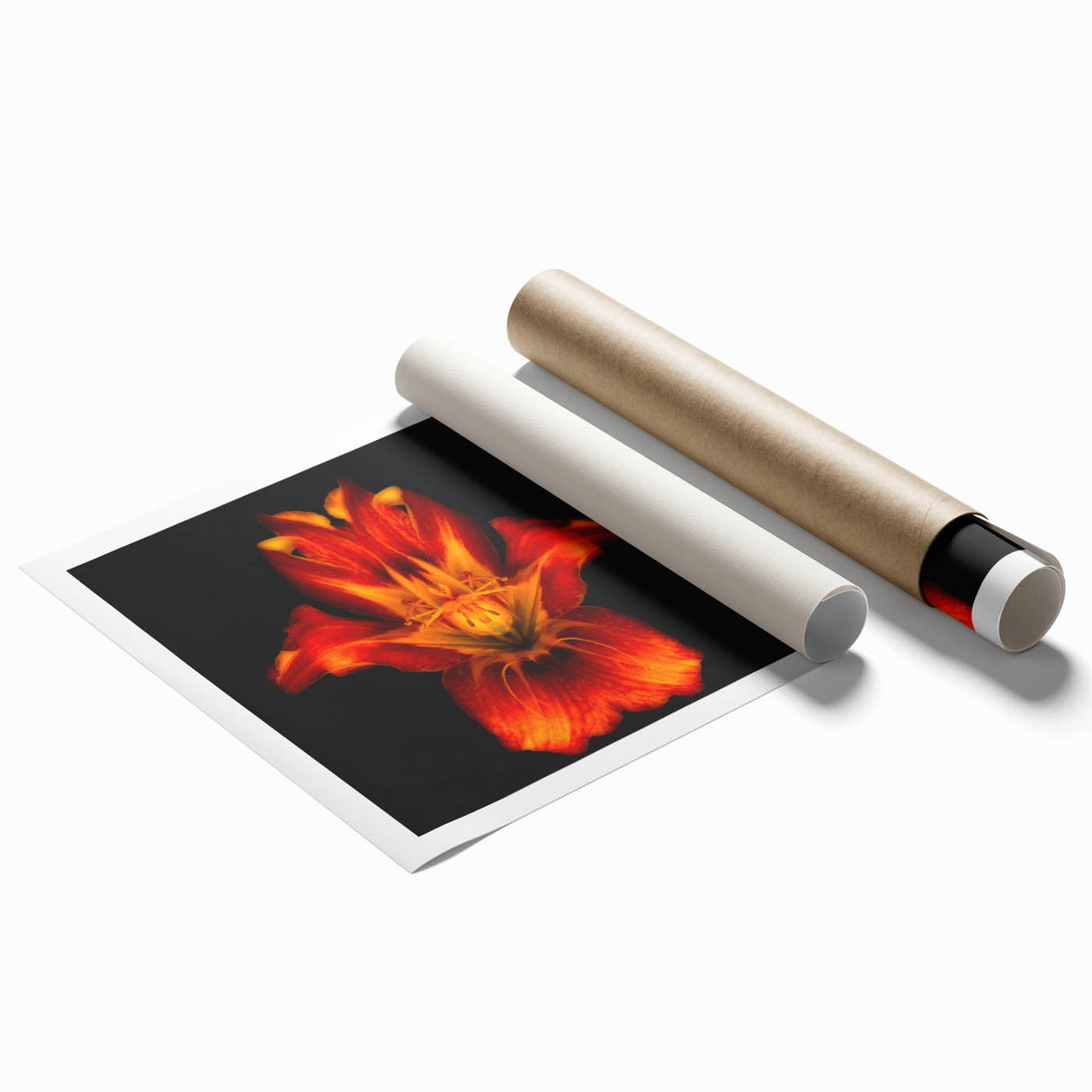 Vibrant botanical wall art featuring a detailed lily design, printed on high-quality paper with a rolled format for easy framing, ideal for home decor.