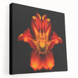 Stretched canvas wall art showcasing a botanical lily design, featuring vibrant colors and intricate details, perfect for home decor enhancement.