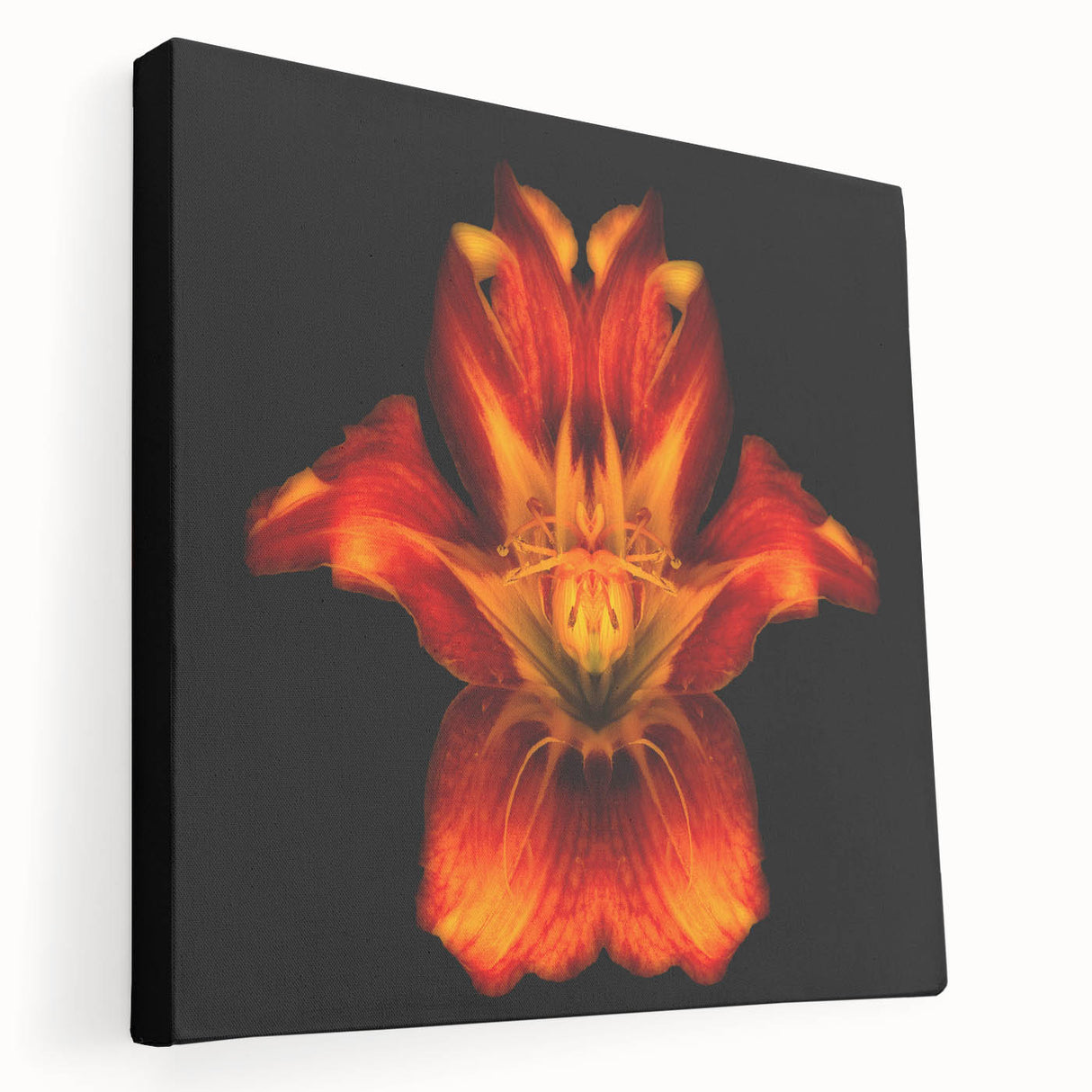 Stretched canvas wall art showcasing a botanical lily design, featuring vibrant colors and intricate details, perfect for home decor enhancement.