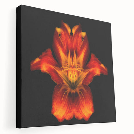 Stretched canvas wall art showcasing a botanical lily design, featuring vibrant colors and intricate details, perfect for home decor enhancement.