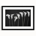 Black-framed wall art featuring a botanical lily design, showcasing intricate floral details and vibrant colors, ideal for enhancing home décor with a natural touch.