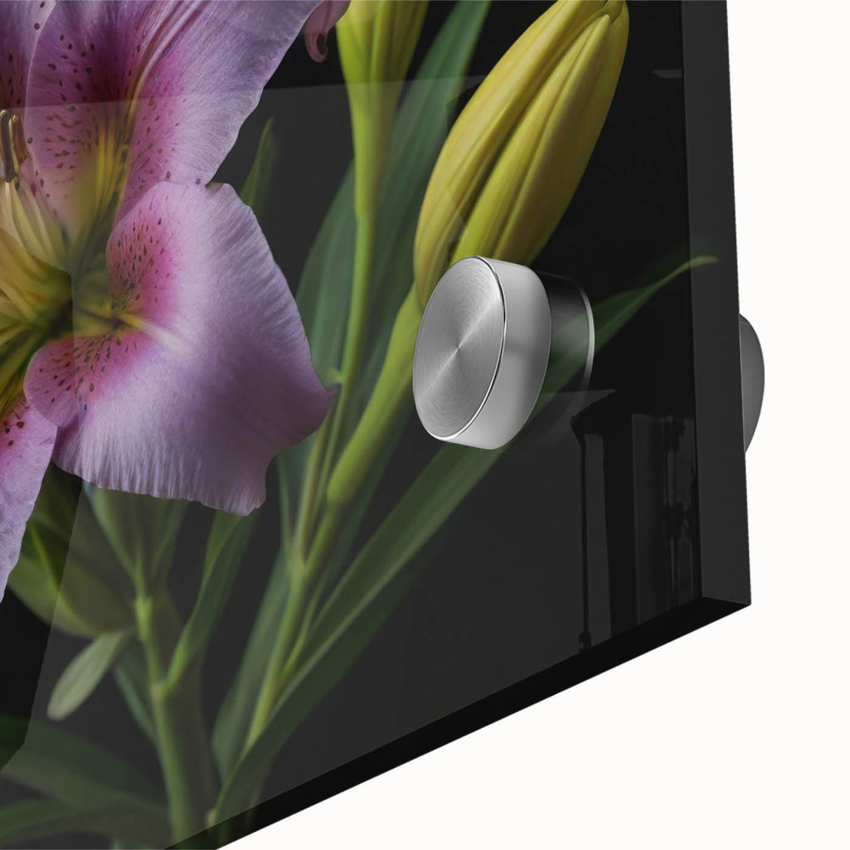 Close-up of a vibrant botanical wall art design featuring delicate pink and white lilies on acrylic glass, enhancing any interior with a touch of nature.