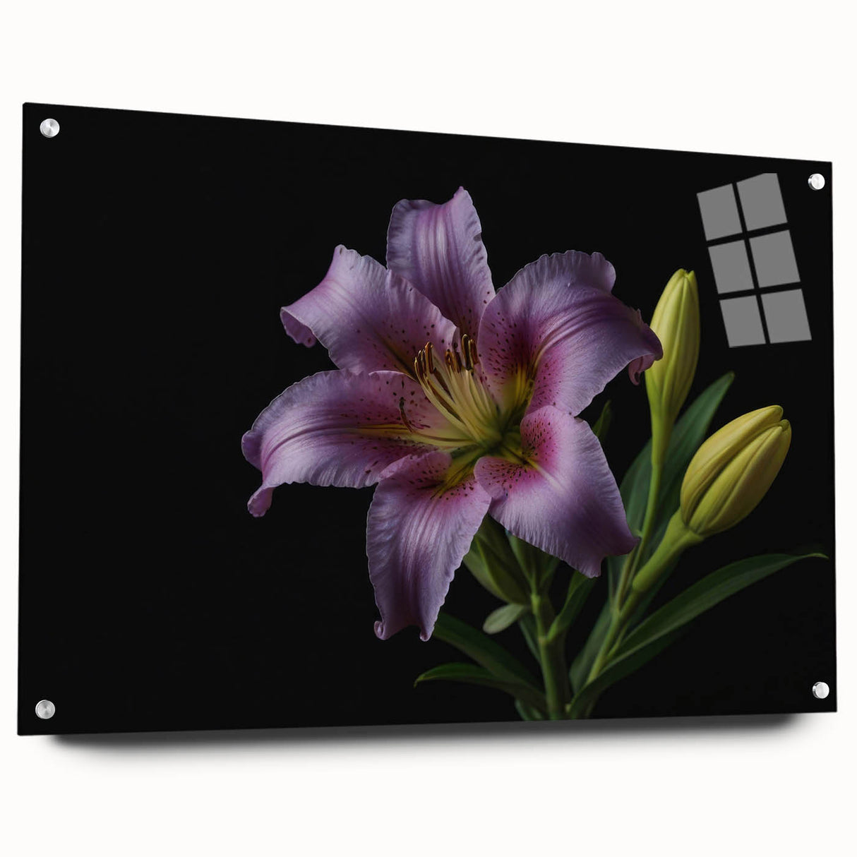 Botanical wall art collection featuring a side view of an acrylic glass lily design, beautifully displayed with pins for easy hanging, perfect for home décor.
