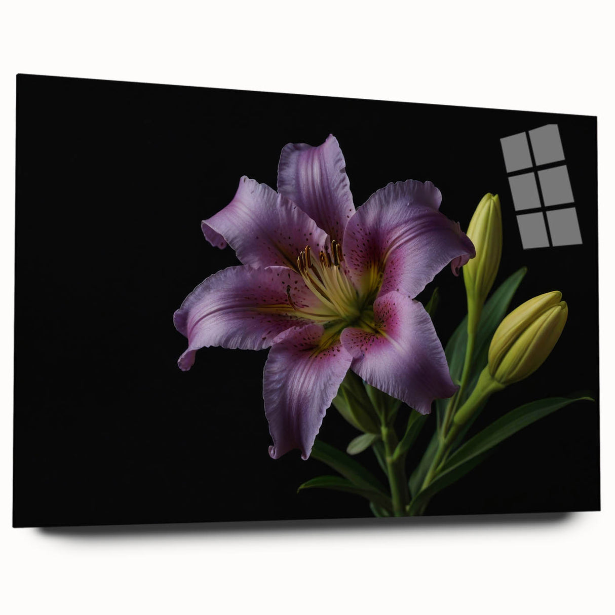 Acrylic wall art featuring a botanical design of white lilies on a colorful background, showcasing a side view of the artwork without pins, perfect for home decor.