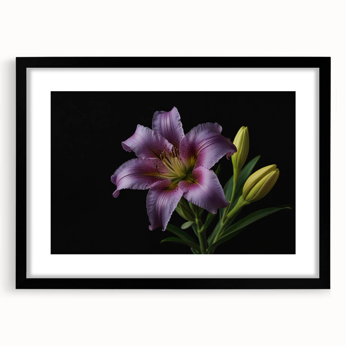 Botanical wall art featuring a beautifully designed lily in a black frame with a mat, ideal for home decor or gallery display, enhancing any interior space.