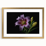 Botanical wall art collection showcasing a stunning gold-framed lily design with a mat, perfect for enhancing home decor and adding elegance to any room.