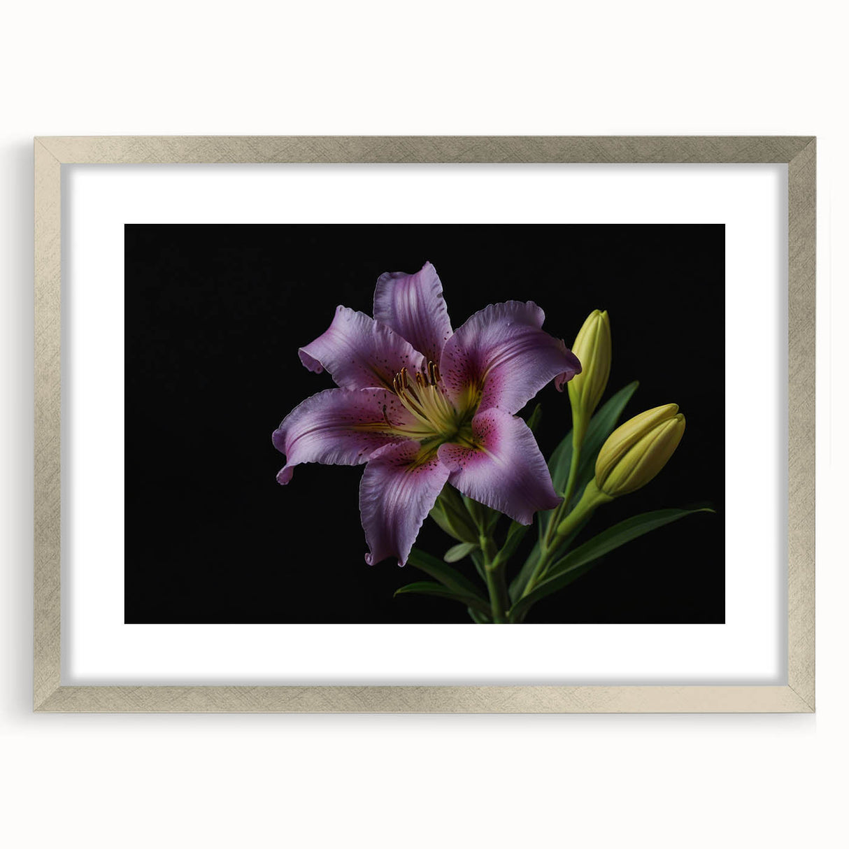 Elegant silver-framed botanical wall art featuring a detailed lily design, ideal for home decor. The piece is beautifully matted, enhancing its aesthetic appeal.