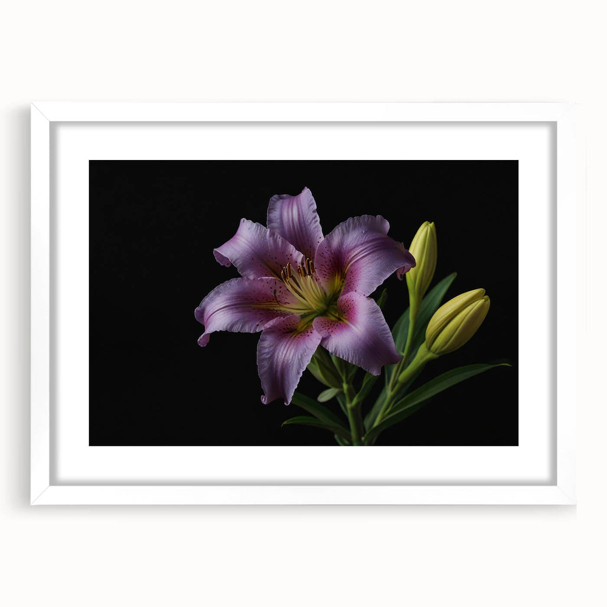 Botanical wall art featuring a sophisticated lily design, framed with a white mat, showcasing delicate floral details ideal for home decor and aesthetics.