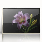 Framed wall art featuring a botanical lily design with silver accents, showcasing vibrant colors and intricate floral details, perfect for home decor.